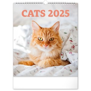 Falinaptr Cats 2024, 30  34 cm (naptr)